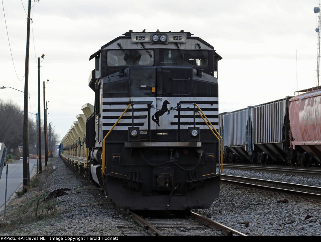 NS 1195